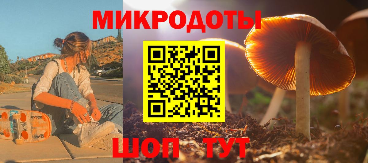 Псилоцибиновые грибы Psilocybe  Вход с VPN  купить наркотики сайты  Советск 