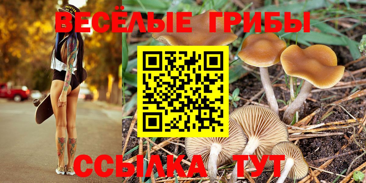Галлюциногенные грибы мухоморы Советск